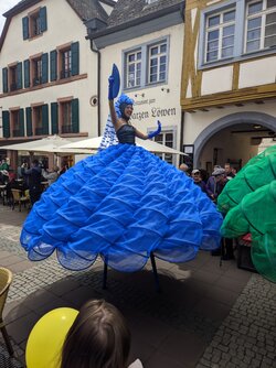 Gcam2 20250524_125734969.jpg