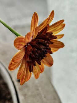 IMG20250524192945~2.jpg