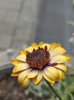 IMG20250524192713~2.jpg