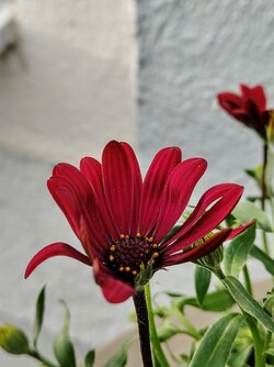 IMG20250524192737~2.jpg