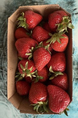 IMG_0525.jpeg