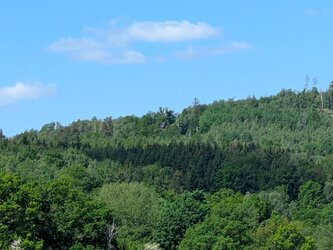 PXL_20250524_091239341.jpg