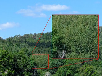 PXL_20250524_091237658.jpg