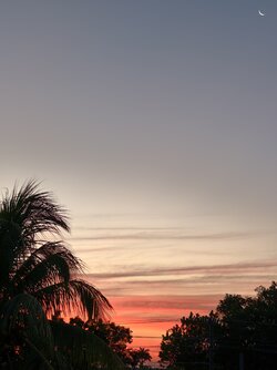 IMG_20250524_063635.jpg