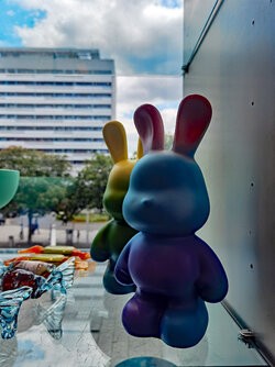 IMG_20250524_121642.jpg