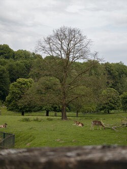 ProShot_20250524_145906.jpg