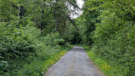 PXL_20250525_142136662.jpg