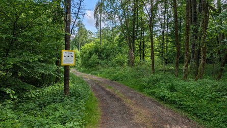 PXL_20250525_142234382.jpg