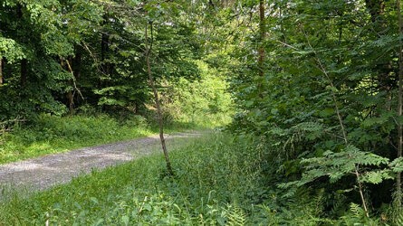 PXL_20250525_142240002.jpg