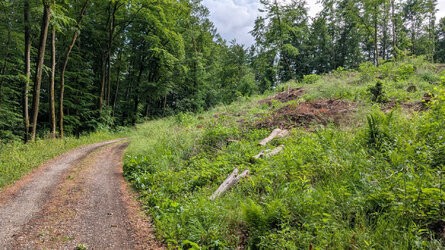 PXL_20250525_142446454.jpg