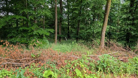 PXL_20250525_142448348.jpg