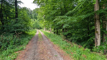 PXL_20250525_142450185.jpg