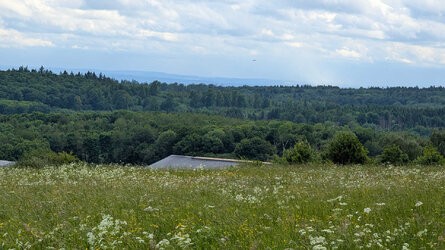 PXL_20250525_142704885.jpg