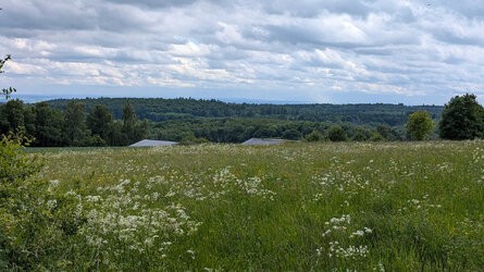 PXL_20250525_142706005.jpg