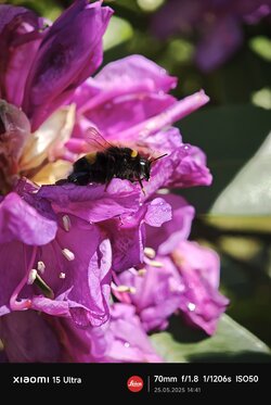 IMG_20250525_144123.jpg
