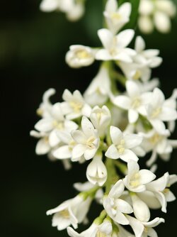 IMG20250523152516.jpg