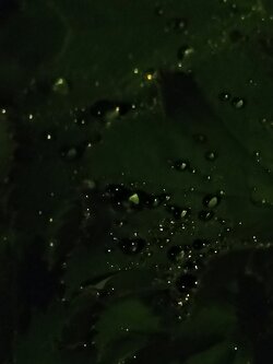 IMG20250526000402~2.jpg