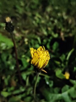 IMG20250526014540~2.jpg