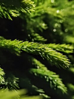 IMG20250525234420~2.jpg