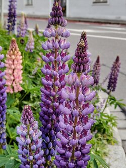 IMG20250525205055~2.jpg