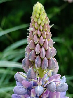 IMG20250525205251~2.jpg