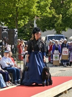 IMG_20250524_161338.jpg