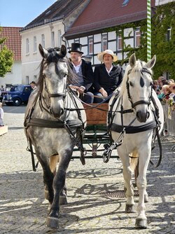 IMG_20250524_163032.jpg