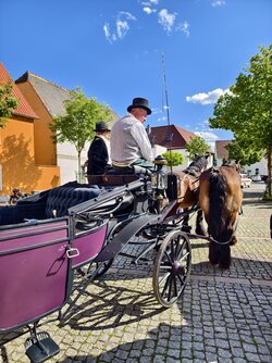 IMG_20250524_164543.jpg