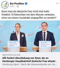 afd-abschieb-messer-hh.jpg