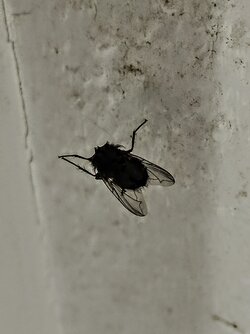 IMG20250526172734~2.jpg