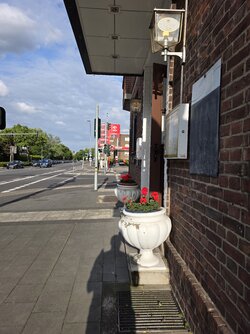 20250526_185522.jpg