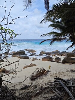 IMG_20230913_162116.jpg