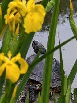 IMG_20250526_173525.jpg