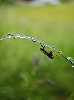MVIMG_20250526_195801.jpg
