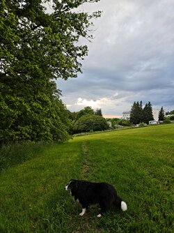 MVIMG_20250526_194915.jpg