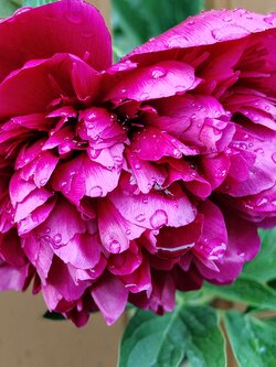 IMG20250526202817~2.jpg