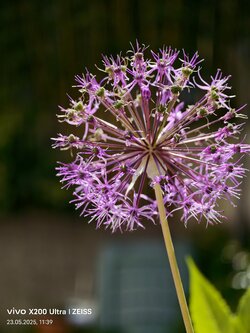 IMG_20250523_113930.jpg