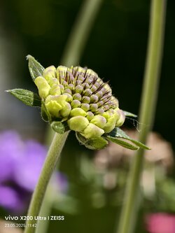 IMG_20250523_114227.jpg