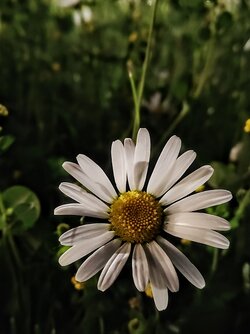 IMG20250527220129~2.jpg