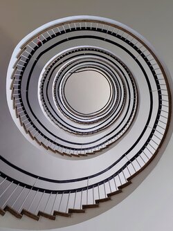 20250508_103020471.JPG