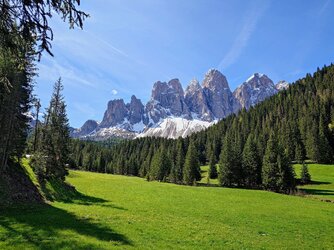 20250526_101112061~2.JPG