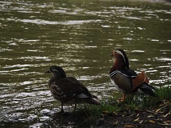 IMG_20250527_194146.jpg