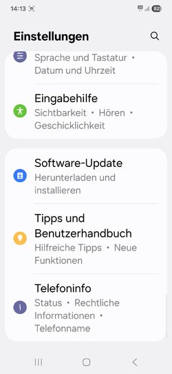 Screenshot_20250528_141323_Settings.jpg