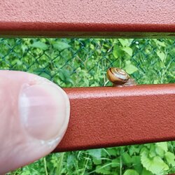 IMG_20250528_115936.jpg
