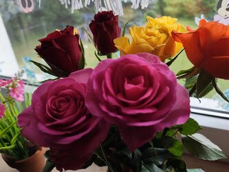 IMG_20250528_155626359.jpg