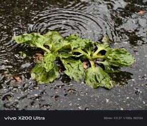 1000002840.jpg