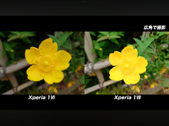 IMG_1032.png