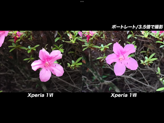 IMG_1033.png