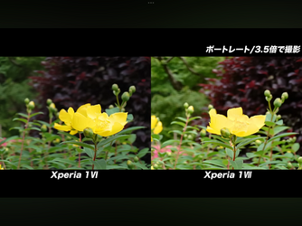 IMG_1034.png