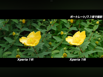 IMG_1035.png
